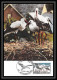 2827/ Carte Maximum (card) France N°1755 Cigogne Stork. D'Alsace Oiseaux (birds) Edition Parison Fdc 1973 Premier Jour - Cigognes & échassiers