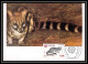 4185/ Carte Maximum (card) France N°2416 Europa 1986 Faune Animals Genette Paris édition Farcigny Fdc 1986  - Rongeurs