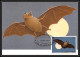 Delcampe - 5846 Carte Maximum Card S Tome E Principe Mi 373/678 Yt 620/625 Rongeurs Rodents 1981 Animaux Animals Chauve Souris Fdc - Roedores