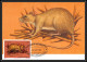 Delcampe - 5846 Carte Maximum Card S Tome E Principe Mi 373/678 Yt 620/625 Rongeurs Rodents 1981 Animaux Animals Chauve Souris Fdc - Knaagdieren