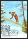 5850 Carte Maximum Card S Tome E Principe Mi N°869/876 Jeux Olympiques Olympic Games Los Angeles Sarajevo 1984 1983 Fdc - Inverno1984: Sarajevo