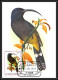 5856 Carte Maximum (card) S Tome E Principe Mi N°604/609 + Bf 610 Oiseaux (birds) 1979  Kingfisher Martin-pêcheur Fdc - Konvolute & Serien