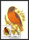 Delcampe - 5856 Carte Maximum (card) S Tome E Principe Mi N°604/609 + Bf 610 Oiseaux (birds) 1979  Kingfisher Martin-pêcheur Fdc - Collections, Lots & Series