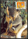 Liechtenstein - Carte Maximum (card) 2062 - 1182/1185 Jeux Olympiques Olympic Games SYDNEY 2000 Koala Kangouroo Animals - Zomer 2000: Sydney