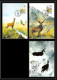 Luxembourg (luxemburg) - Carte Maximum (card) 2196 - Faune Fauna Chevreuil Chamois Cerf Deer1986 - Animalez De Caza