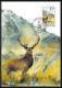 Luxembourg (luxemburg) - Carte Maximum (card) 2196 - Faune Fauna Chevreuil Chamois Cerf Deer1986 - Gibier