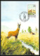 Delcampe - Luxembourg (luxemburg) - Carte Maximum (card) 2196 - Faune Fauna Chevreuil Chamois Cerf Deer1986 - Animalez De Caza