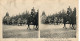 Stereo, Cortège Historique 1905,25 CPA - Festivals, Events