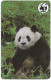 Malawi - Malawi Telecom (FAKE) - WWF - Panda Bear, 100Units - Malawi