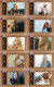 M14028 China Phone Cards Avril Lavigne 250pcs - Musica