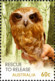 Delcampe - Australia 2010 MiNr. 3471 - 3476 Animals Bats Birds Owls WILDLIFE CARING 6v  MNH** 8.40€ - Mint Stamps