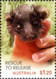 Delcampe - Australia 2010 MiNr. 3471 - 3476 Animals Bats Birds Owls WILDLIFE CARING 6v  MNH** 8.40€ - Ungebraucht