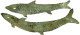 2 X Bronze-Fischgeld (sogen. "Yü Pi") Ca. 1045/221 V.Chr. Detaillierte Schuppen, Längliche Augen. 108 Mm Und 131 Mm. Seh - China