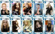 Delcampe - M14030 China Phone Cards Avril Lavigne 250pcs - Musique