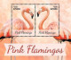 MDB-BK25-273-274  MINT ¤ GUYANA 2015 COMPLEET In Serie ¤ - PINK FLAMINGOS - BIRDS - PAJAROS - VOGELS - VÖGEL - Flamingo