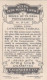 29 Corra Lyn, Launceston Tasmania - PEEPS INTO MANY LANDS A 1927 - Cavenders RP Stereoscope Cards 3x6cm - Visionneuses Stéréoscopiques