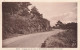 FRANCE - Paysage Sur La Route De Monistrol D'Allier à Saugues - Carte Postale Ancienne - Monistrol Sur Loire