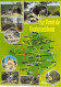 Delcampe - CARTES GEOGRAPHIQUES REGIONALES - Lot De 10 CPSM Grand Format (dont 7 Dentelées) FRANCE En BON ETAT - 5 - 99 Postcards