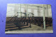 Delcampe - O.L.V  Waver Internaat Der Zusters LOT X 36 Postkaarten - Sint-Katelijne-Waver