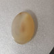 Agate "Croix" Naturelle D'Indonésie - Cabochon 11.38 Carats - 20.6 X 14.6 X 5.3 Mm - Agate