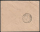Cover - Lisboa To Castelo Branco -|- Postmark - Lisboa. 1893 - Covers & Documents