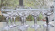 -12 VERRES BALLON à PIEDS En VERRE Avec Fine FRISE Gravée  Déco TABLE 1950/60     E - Glass & Crystal