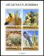 Tschad 2020**, Naturkunde: Vögel Und Kakteen / Chad 2020, MNH, Natural History: Birds And Cacti - Sukkulenten