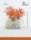 Delcampe - Deutschland 2016**, Privatpost Citykurier, Kaktus / Germany 2016, MNH, Private Mail Citykurier, Cactus - Sukkulenten