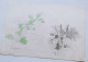 Delcampe - Lot 5 Dessins Anciens Au Crayon Daté 1866 Signés Fred. Posth Maisons Nature Arbres - Zeichnungen