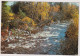 AK 199401 CANADA - Nova Scotia - Cape Breton - Fall Splendour - Cape Breton