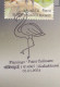 Flamingo @ Point Calimere, Migratory Birds @ Wildlife & Bird Sanctuary, Protected Wetland, Nature, Spl Cover 2024, - Fenicotteri