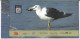 Heuglin's Gull @ Point Calimere, Migratory Birds @ Wildlife & Bird Sanctuary, Protected Wetland, Nature, Spl Cover 2024 - Mouettes