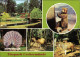 Ueckermünde Tierpark Ansichtskarte G1982 - Ückermünde