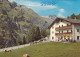 E3588) KALS Am Großglockner - Alpengasthof MOA ALM - ältere Farbfoto AK  AUTO Kühe Gastgarten - Kals