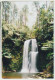 Australia VICTORIA VIC Beauchamp Waterfalls OTWAY NATIONAL PARK Earth Focus OTW4 Postcard C2004 - Altri & Non Classificati