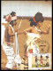 Delcampe - 49161 Yv N°142/158 The Life Of Transkei 17 Cartes Carte Maximum (card) Afrique Du Sud South Africa 1984 - Transkei