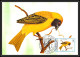 56920 N°879/898 Oiseaux (birds) Sao S Tome E Principe Série Complète 22 Cartes Carte Maximum (card) Fdc édition 1983 - Collezioni & Lotti