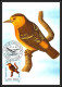 Delcampe - 56920 N°879/898 Oiseaux (birds) Sao S Tome E Principe Série Complète 22 Cartes Carte Maximum (card) Fdc édition 1983 - Verzamelingen, Voorwerpen & Reeksen