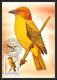 Delcampe - 56920 N°879/898 Oiseaux (birds) Sao S Tome E Principe Série Complète 22 Cartes Carte Maximum (card) Fdc édition 1983 - Konvolute & Serien