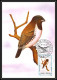 Delcampe - 56920 N°879/898 Oiseaux (birds) Sao S Tome E Principe Série Complète 22 Cartes Carte Maximum (card) Fdc édition 1983 - Konvolute & Serien