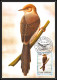 Delcampe - 56920 N°879/898 Oiseaux (birds) Sao S Tome E Principe Série Complète 22 Cartes Carte Maximum (card) Fdc édition 1983 - Collections, Lots & Series