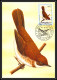 Delcampe - 56920 N°879/898 Oiseaux (birds) Sao S Tome E Principe Série Complète 22 Cartes Carte Maximum (card) Fdc édition 1983 - Konvolute & Serien