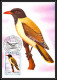 Delcampe - 56920 N°879/898 Oiseaux (birds) Sao S Tome E Principe Série Complète 22 Cartes Carte Maximum (card) Fdc édition 1983 - Collections, Lots & Series