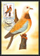 Delcampe - 56920 N°879/898 Oiseaux (birds) Sao S Tome E Principe Série Complète 22 Cartes Carte Maximum (card) Fdc édition 1983 - Colecciones & Series
