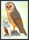 Delcampe - 56920 N°879/898 Oiseaux (birds) Sao S Tome E Principe Série Complète 22 Cartes Carte Maximum (card) Fdc édition 1983 - Collections, Lots & Series