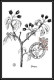 Delcampe - 57082 TAXE N°53/61 Flore Baie Sauvage Flowers Flower Fleurs) édition Pujol - Cartes-Maximum (CM)