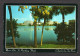 Etats Unis - St.PETERSBURG - Skyline Reflected From Mirror Lake In Downtown , Jet D'eau - St Petersburg