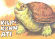 R.Järvi:Turtle Ati, 1981 - Schildkröten