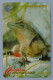 CAYMAN ISLANDS - GPT - Specimen - Famous Little Cayman Iguana - Isole Caiman