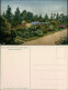 Ansichtskarte Dahlem-Berlin Kgl. Botanischer Garten - Felsenpfalanzen 1913  - Dahlem